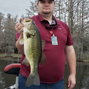 Meet your Posher, Nolan